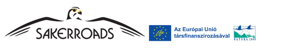 LIFE_Sakerroads logo.jpg